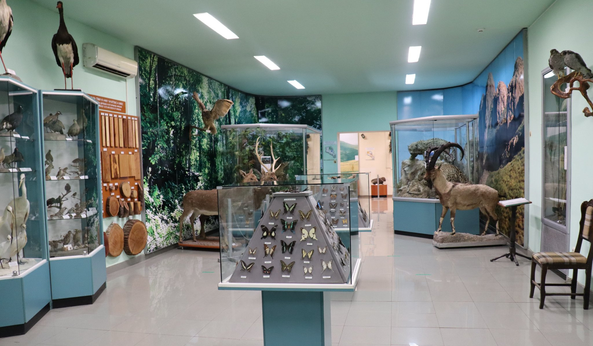 Հայաստանի բնության թանգարանը հրավիրում է միասին տոնելու Թանգարանների միջազգային օրը. մուտքն անվճար է