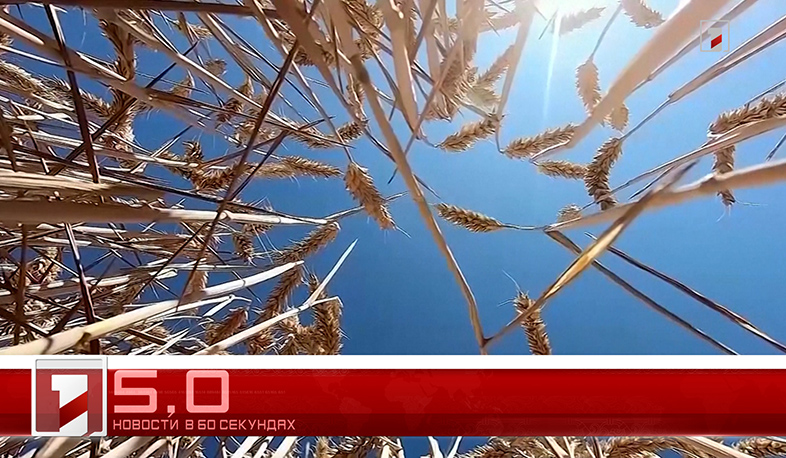19 мая в 60 секундах