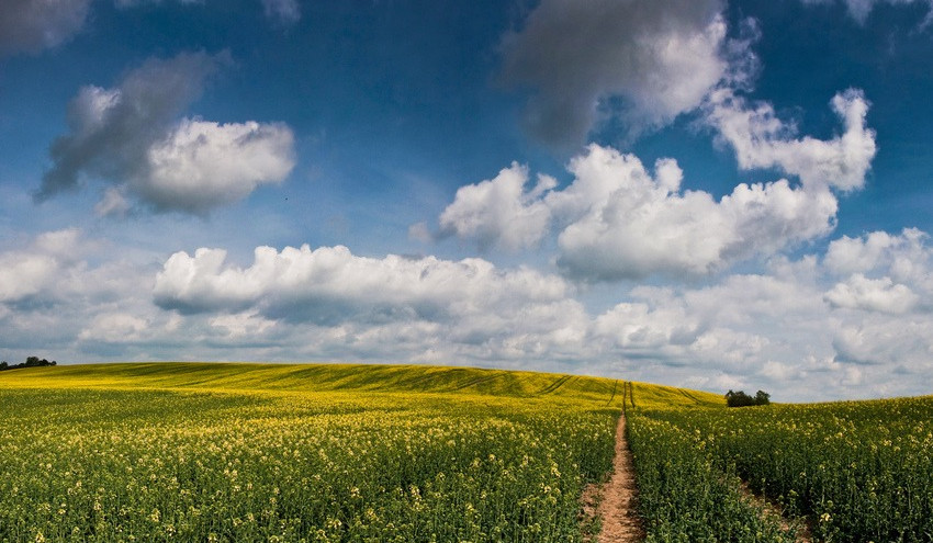 Օդի ջերմաստիճանը մայիսի 22-ին աստիճանաբար կբարձրանա 4-6 աստիճանով