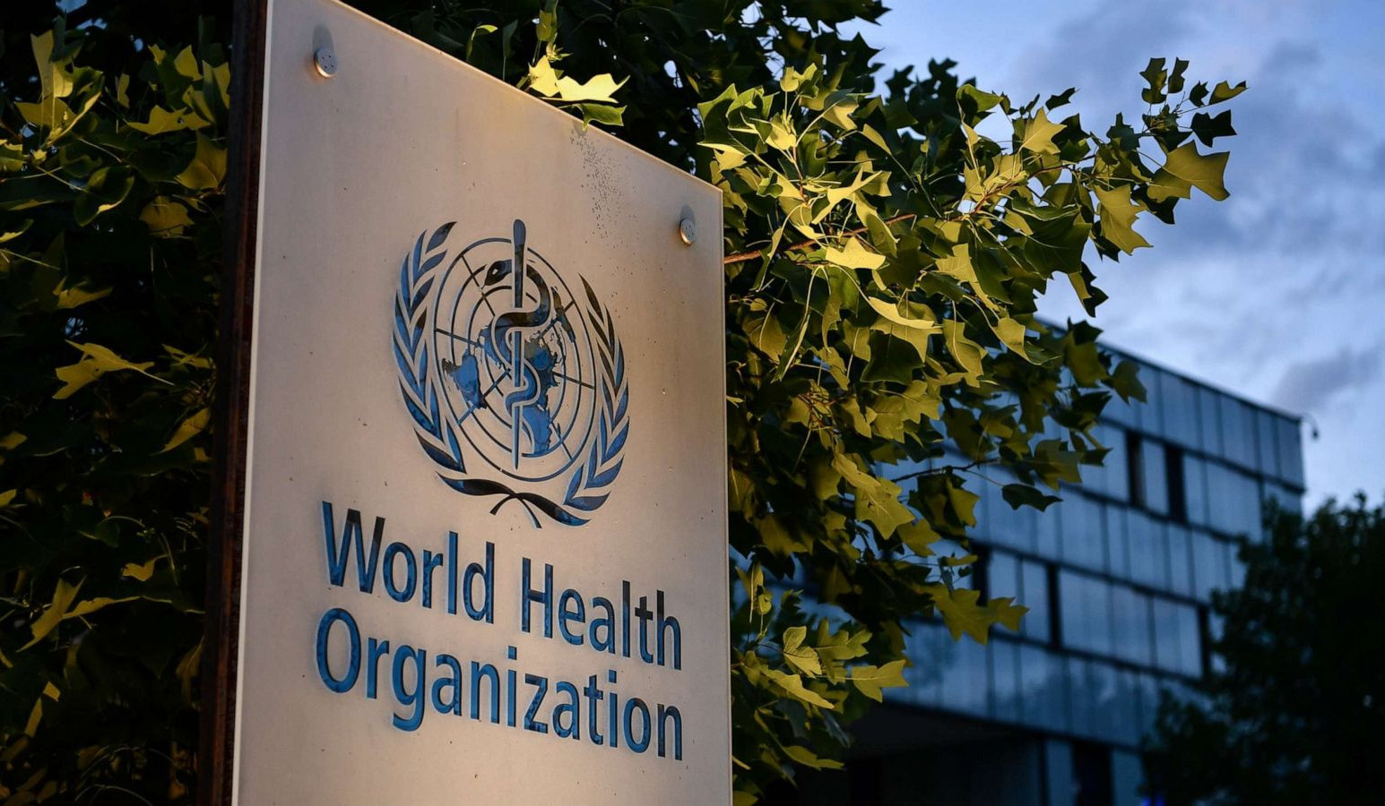 Monkeypox outbreaks in Canada and worldwide signal shift in behaviour of virus