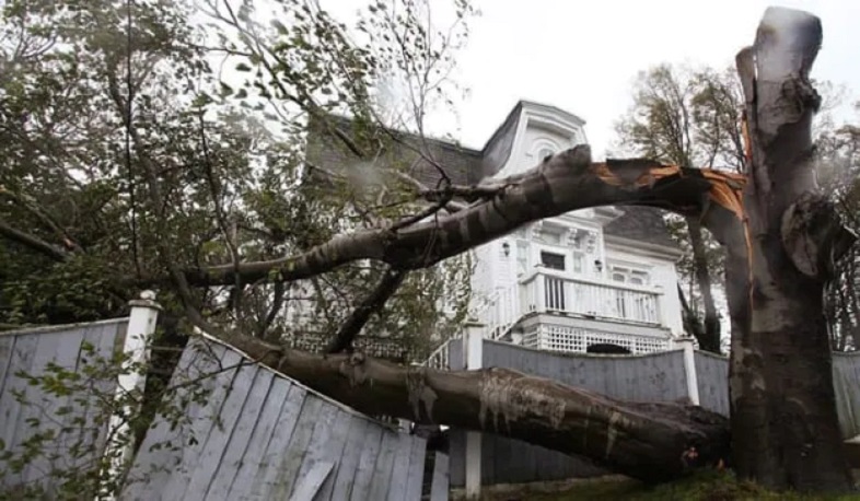 Canada storms: Nearly a million homes lose power in high winds