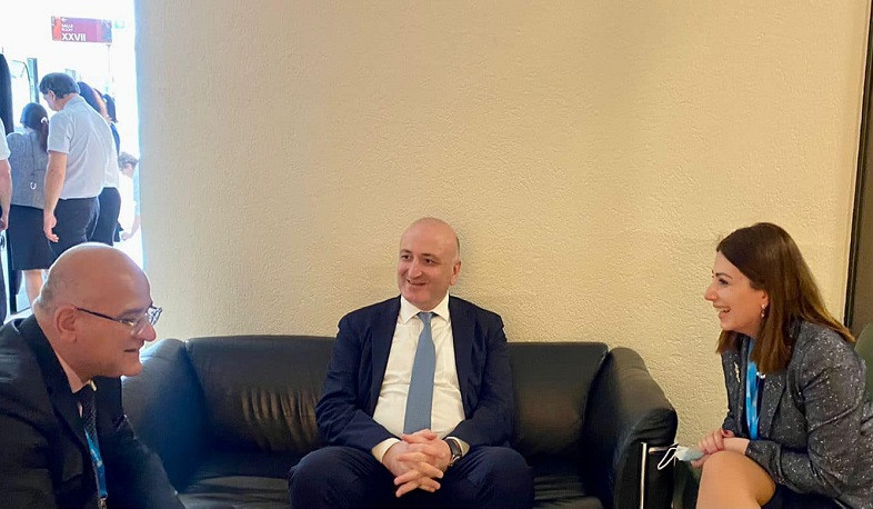 Անահիտ Ավանեսյանն իր վրացի գործընկերոջն առաջարկել է փորձի փոխանակում իրականացնել դեղորայքային քաղաքականության ոլորտում