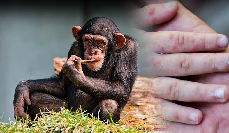 Արգելվել է պրիմատների և կրծողների կարգին պատկանող կենդանատեսակների ներմուծումը