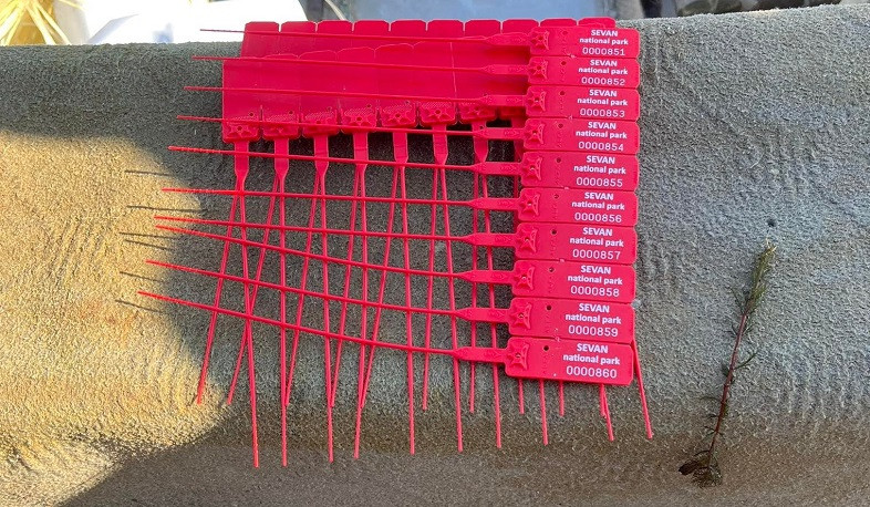 Սևանա լճի առափնյա հատվածներում ստուգումների արդյունքում մանրաձկան որսի դեպքեր չեն հայտնաբերվել