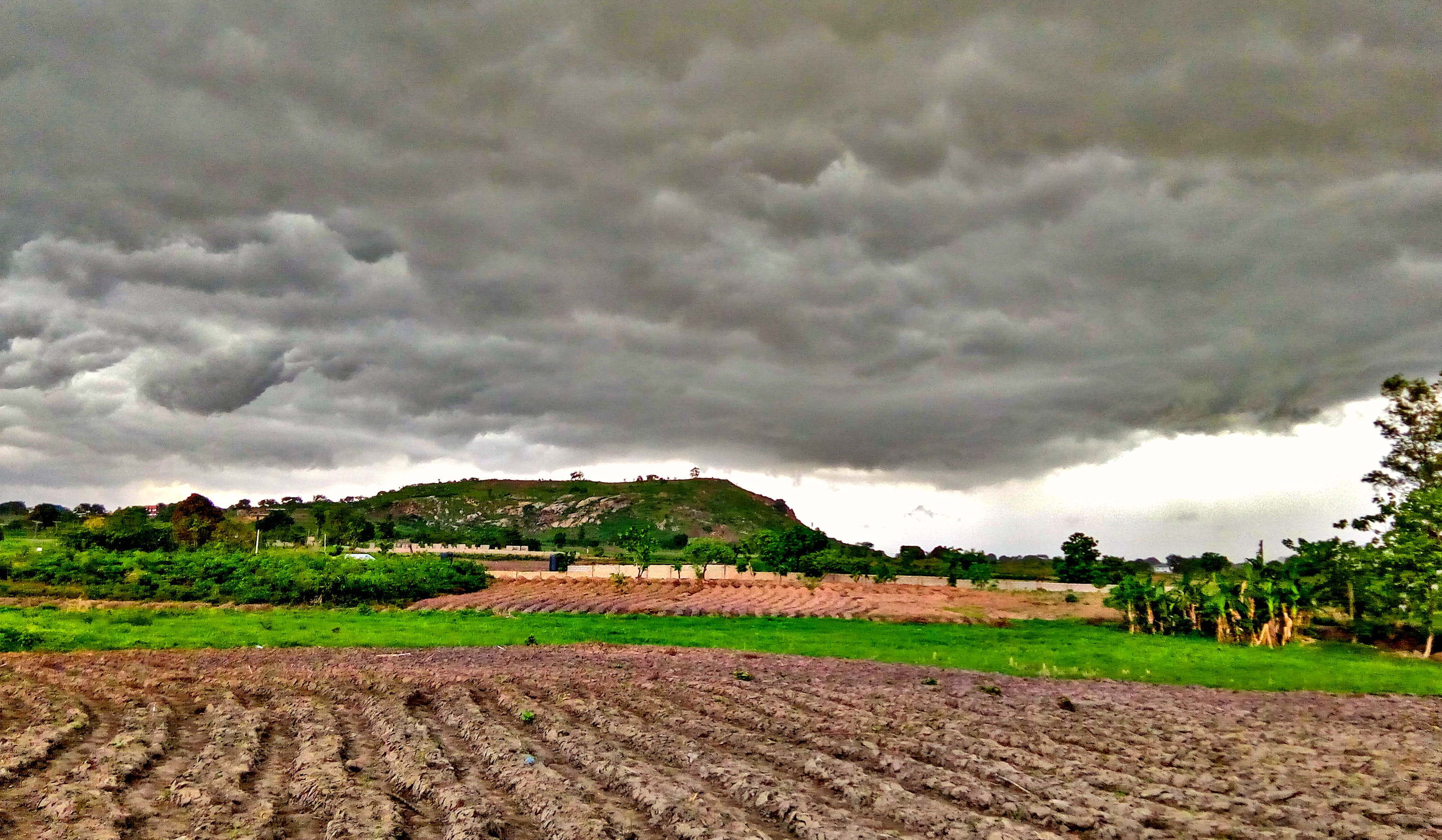 Մեկնարկում է գյուղացիական տնտեսությանն աջակցության տրամադրման պետական ծրագիրը