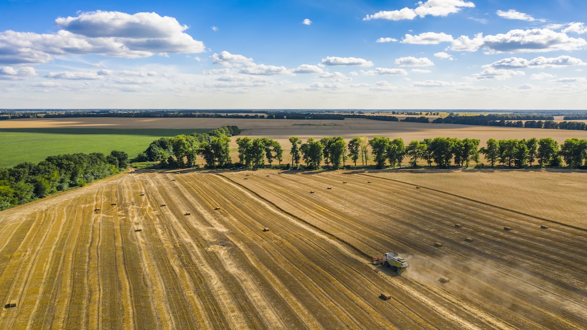 UN warns of potential global food crisis due to Russia-Ukraine conflict