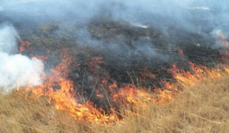 Մելիքգյուղ գյուղի հարակից սարի վրա այրվում է մոտ 8 հա խոտածածկույթ