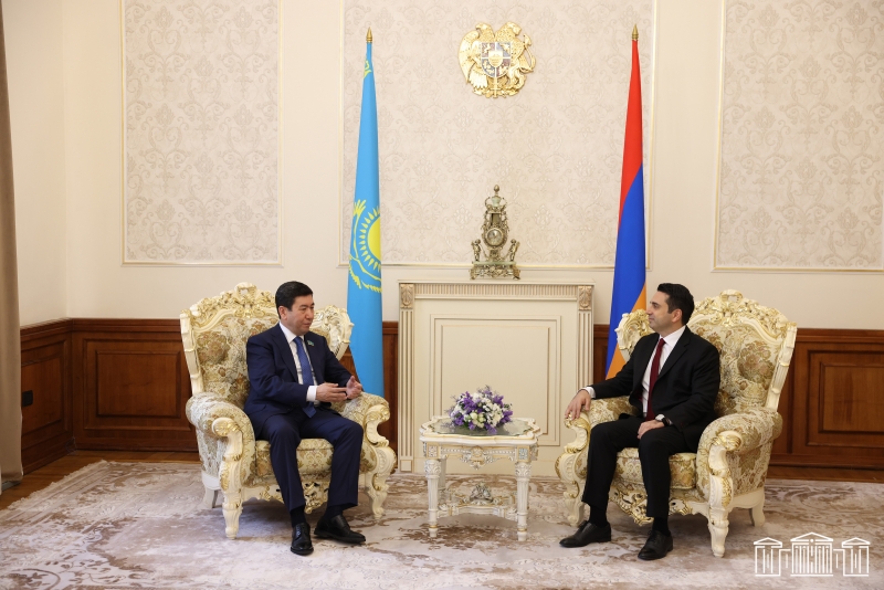 Dağlıq Qarabağ münaqişəsi ərazi mübahisəsi deyil, yerli erməni əhalisinin hüquqları məsələsidir: Alen Simonyan