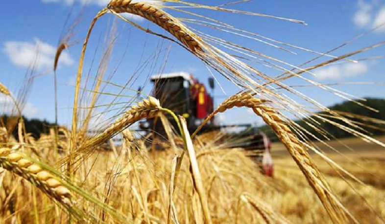 Թուրքիան ծրագրում է գյուղատնտեսական արտադրանքի համար հողատարածքներ վարձակալել 10 երկրում, այդ թվում՝ Ուկրաինայում
