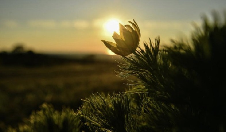 Օդի ջերմաստիճանը աստիճանաբար կբարձրանա 3-5 աստիճանով