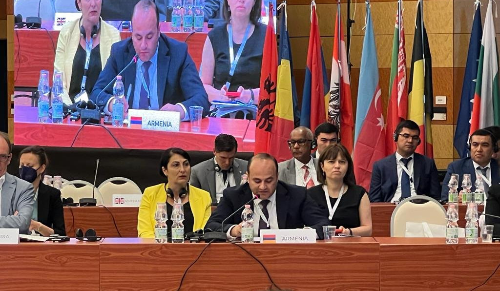 Նարեկ Մկրտչյանը ելույթ է ունեցել Հռոմում անցկացվող ծերացման հարցերով նախարարական համաժողովին