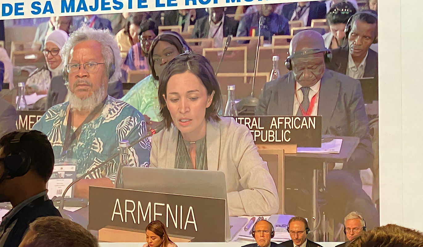 Ժաննա Անդրեասյանը մասնակցել է Մեծահասակների կրթության յոթերորդ համաժողովին