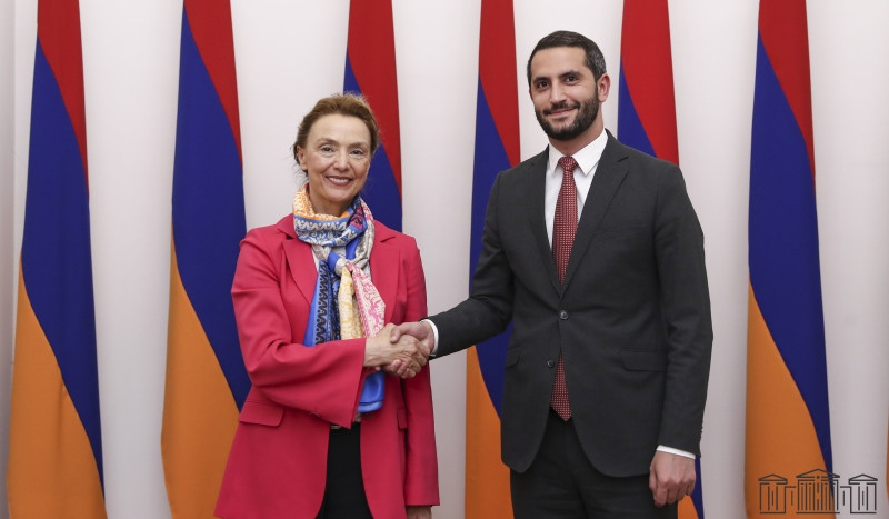 В Армении заметен процесс демократических реформ: генсек Совета Европы