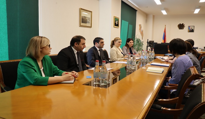 Քննարկվել են էկոկրթական համատեղ ծրագրերի իրականացման հնարավորությունները. հանդիպում ՅՈՒՆԻՍԵՖ-ի հայաստանյան ներկայացուցչի հետ