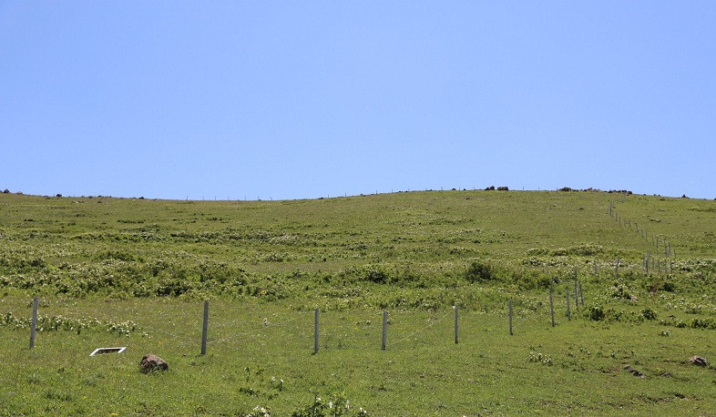 Լեռնակերտում համայնքապատկան հողատարածքների անտառատնկման աշխատանքներն ավարտված են