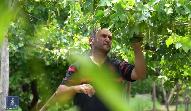 Սեզոնային զբաղվածության ծրագիրը շարունակվում է