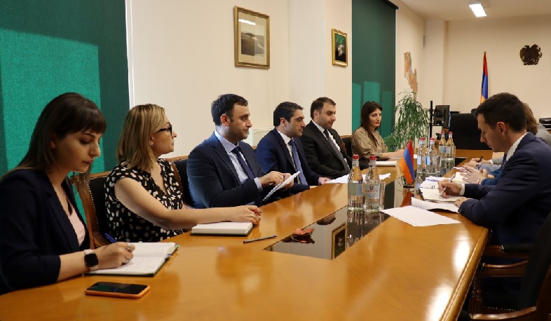 Հակոբ Սիմիդյանը և Նաթիա Նացվլիշվիլին քննարկել են համատեղ ծրագրերի շրջանակներում արձանագրված ձեռբքերումները