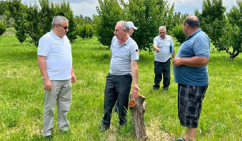 ՍԱՏՄ ղեկավարն այցելել է Արմավիրի մարզ` ծանոթանալու այգիների բուսասանիտարական վիճակին