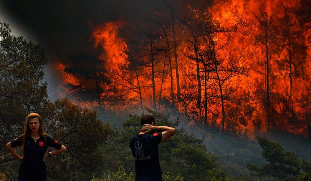 Թուրքիայում պահանջում են մահապատժի ենթարկել անտառային հրդեհների մեղավորներին