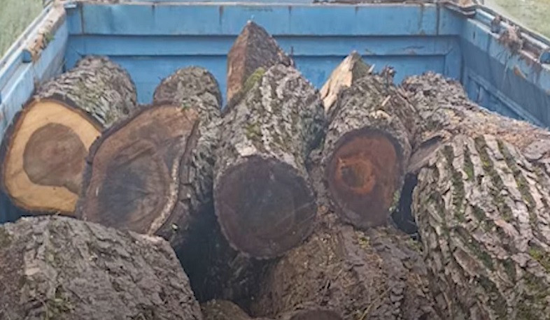 Լոռու պարեկները հայտնաբերել են փայտանյութով բեռնված 10-ից ավելի տրանսպորտային միջոց