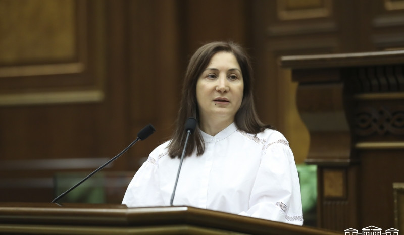 Գույքի քաղաքացիաիրավական բռնագանձումը չի հակասում միջազգային ստանդարտներին. Լիզա Գրիգորյան