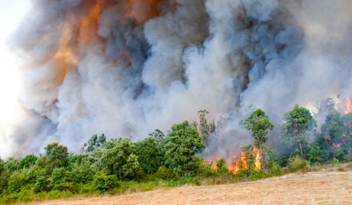 Wildfire forces hundreds of tourists to evacuate Spanish holiday resort