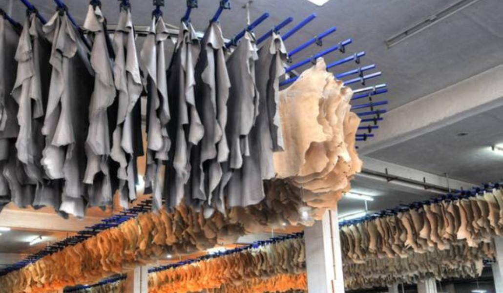 Վեց ամսով կարգելվի Հայաստանից անասունների, ոչխարների ու ձիերի անմշակ կաշվի արտահանումը