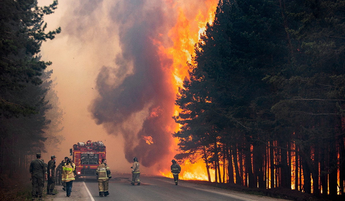 Европу охватили аномальные лесные пожары