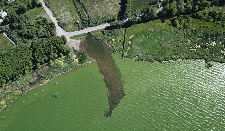 Ինչու է կանաչում Սևանա լիճը, և ինչ քայլեր են ձեռնարկվում հիմնախնդրի լուծման ուղղությամբ. ՇՄ նախարարության պարզաբանումը