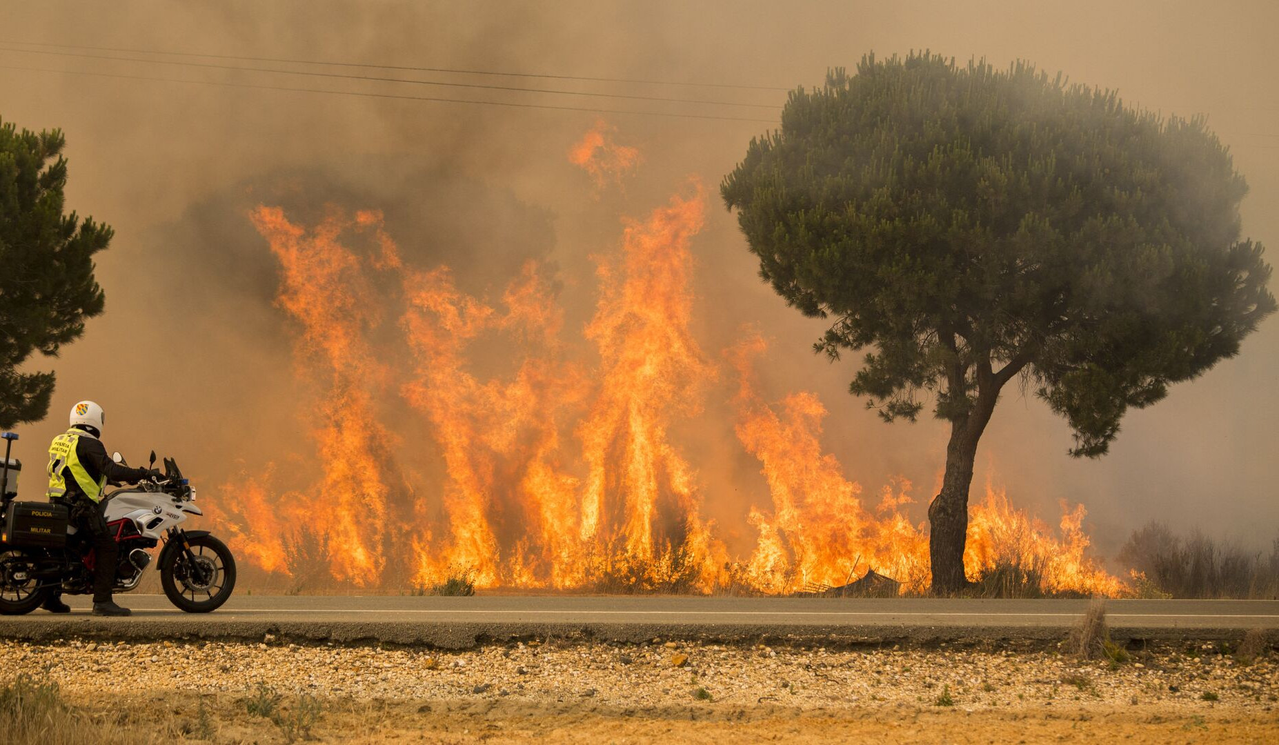 В Испании природные пожары уничтожили более 20 тысяч гектаров леса, один человек погиб
