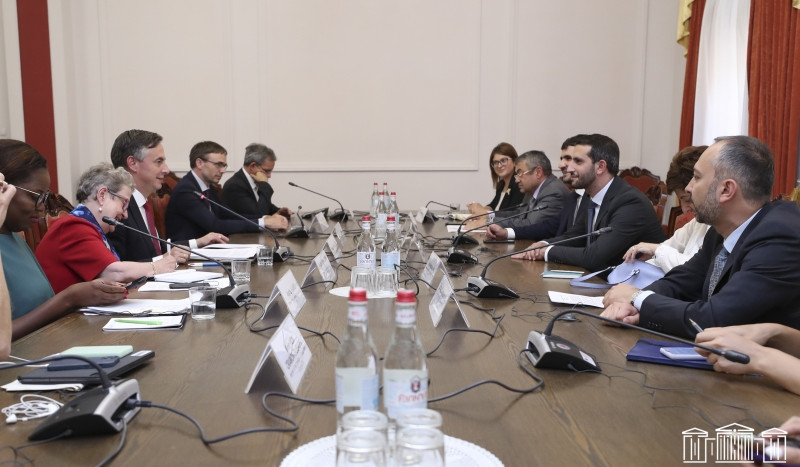 Ռուբեն Ռուբինյանը Դեյվիդ Մքալիսթերին է ներկայացրել հայկական կողմի դիրքորոշումը ԼՂ հակամարտության խաղաղ հանգուցալուծման վերաբերյալ