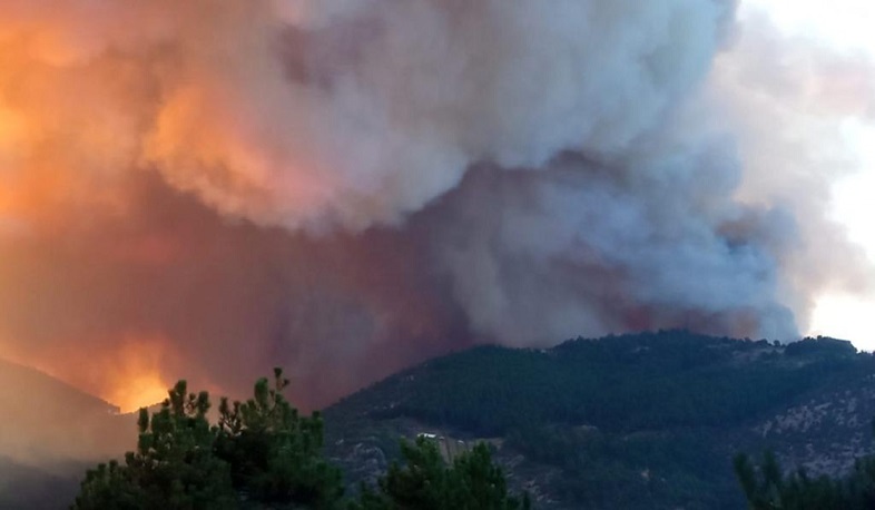 На западе Турции вспыхнули сильные лесные пожары