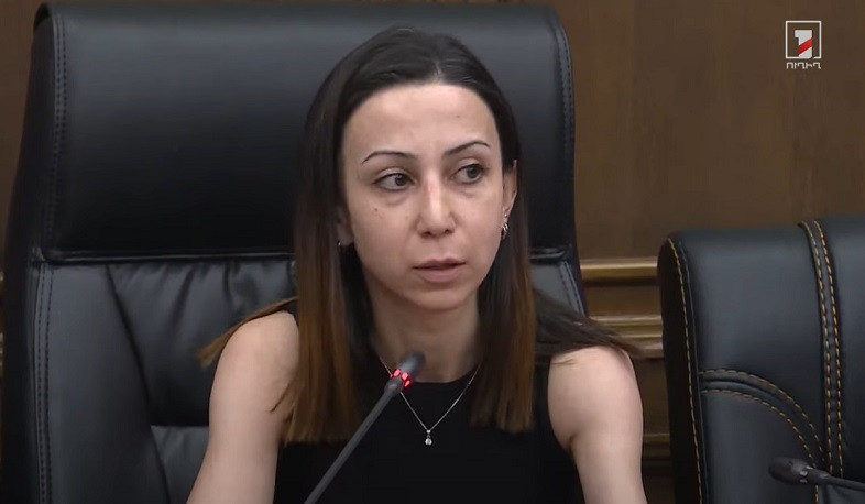 Həm Türkiyə, həm də Ermənistan tərəfi danışıqların ilkin şərt olmadan davam etdiyini qeyd edirlər: Mariya Karapetyan