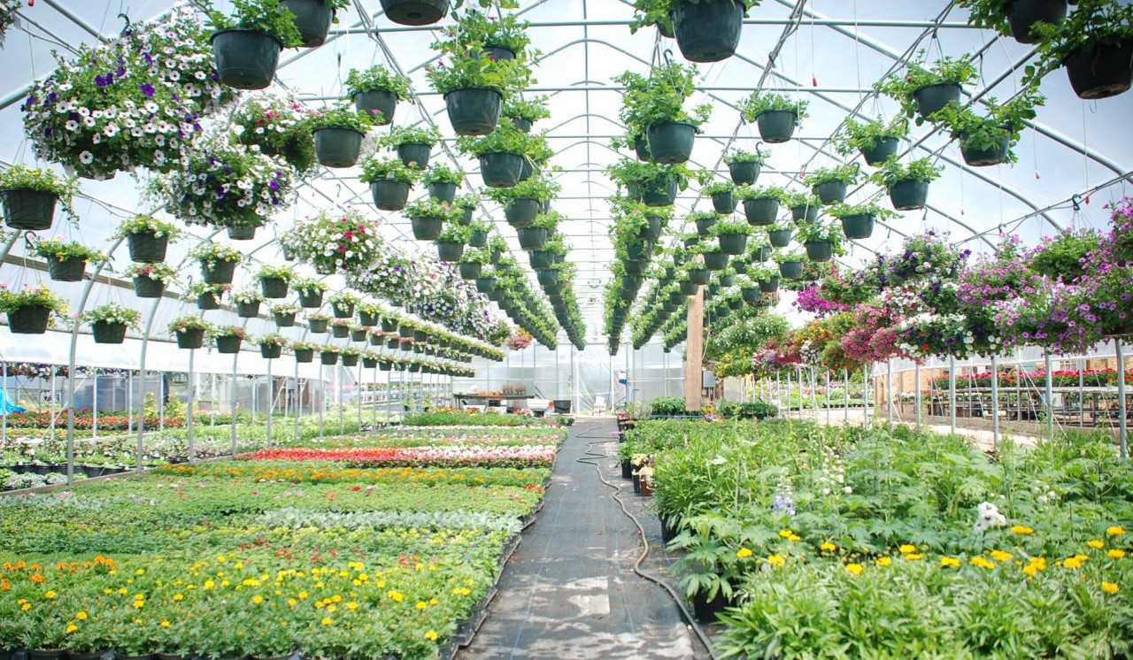 Փոփոխություններ՝ փոքր և միջին ջերմատնային տնտեսությունների ներդրման ծրագրում