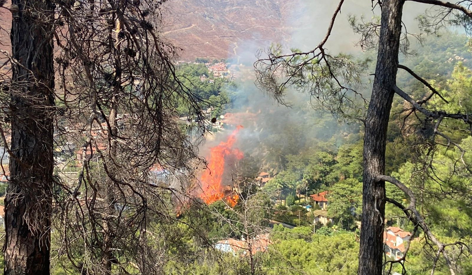 Wildfires threaten hotels, settlements in southern Turkey