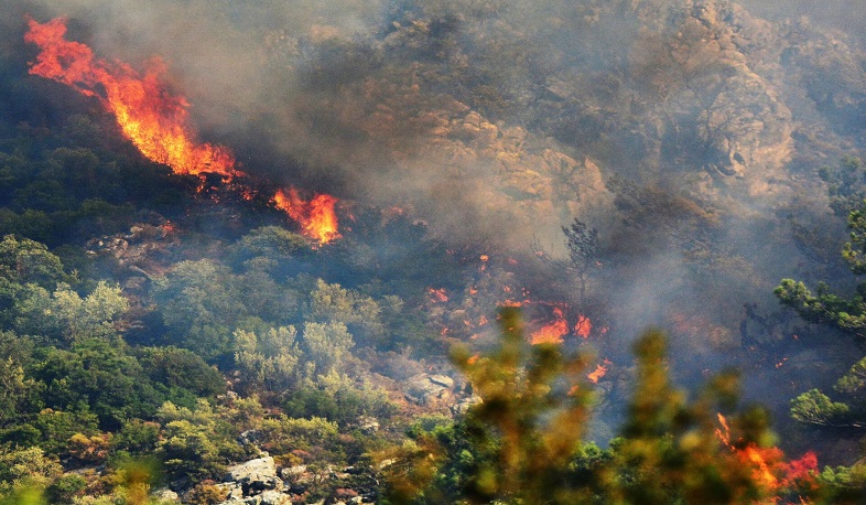 Türkiyədə meşə yanğını baş verib