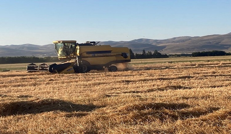 Գյումրիի սելեկցիոն կայանում բերքատվությունն աճել է մոտ 3 անգամ