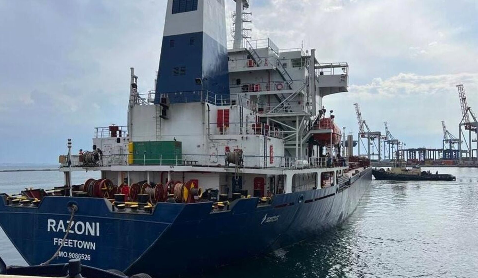 First cargo ship with Ukrainian grain is in Istanbul, coordination center starts inspection