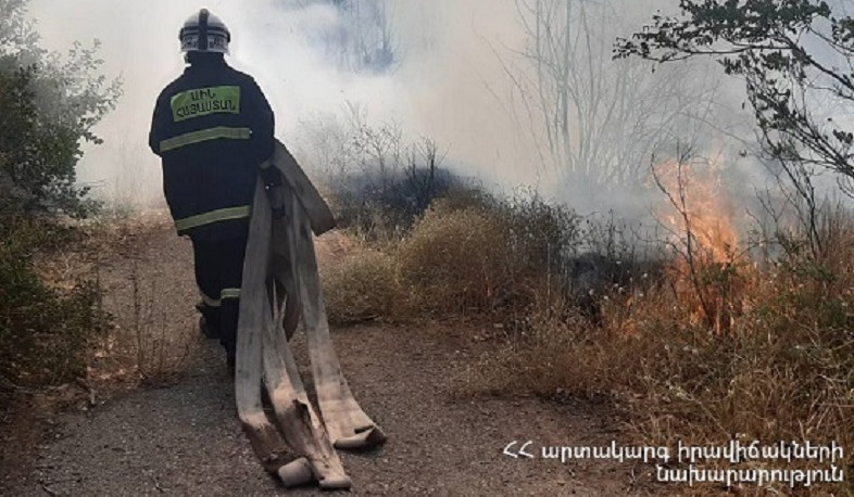 Բուսաբանական այգում բռնկված հրդեհը մարվել է. այրվել է մոտ 8000 քառակուսի մետր խոտածածկույթ