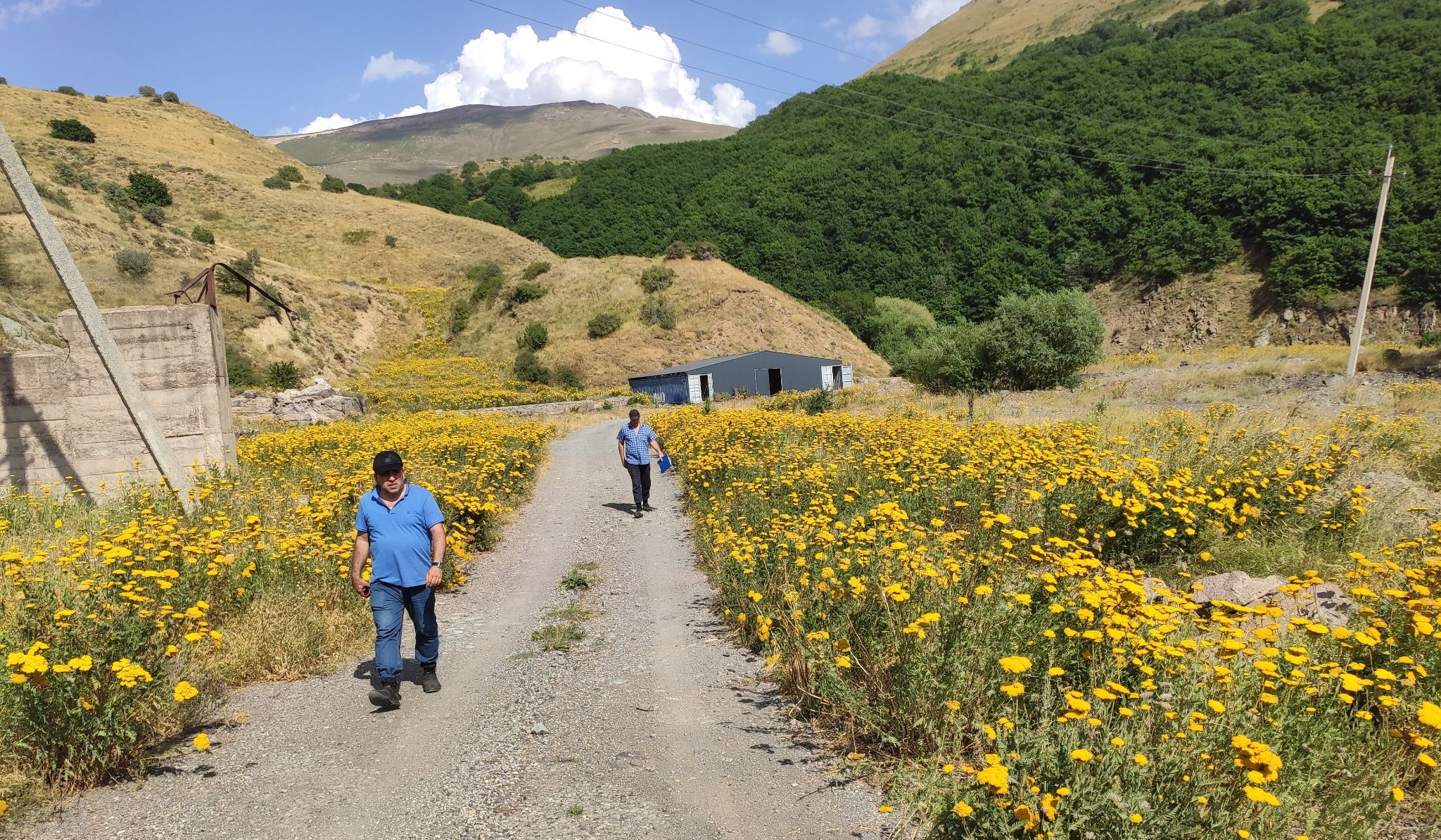 Կատարվել են Խոսրովի անտառի և Սարավանի ընդերքօգտագործման թափոնների նմուշառման և դաշտային հետազոտման աշխատանքներ