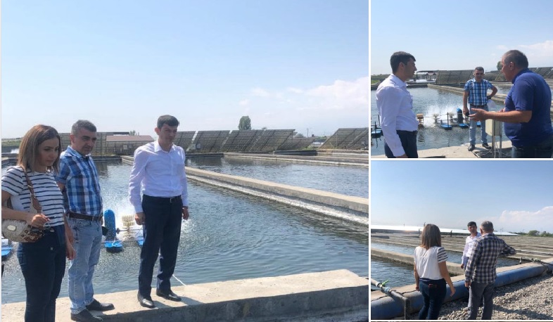 ՇՄ նախարարի տեղակալը  շրջայց է կատարել ձկնաբուծարաններում, ծանոթացել խնդիրներին