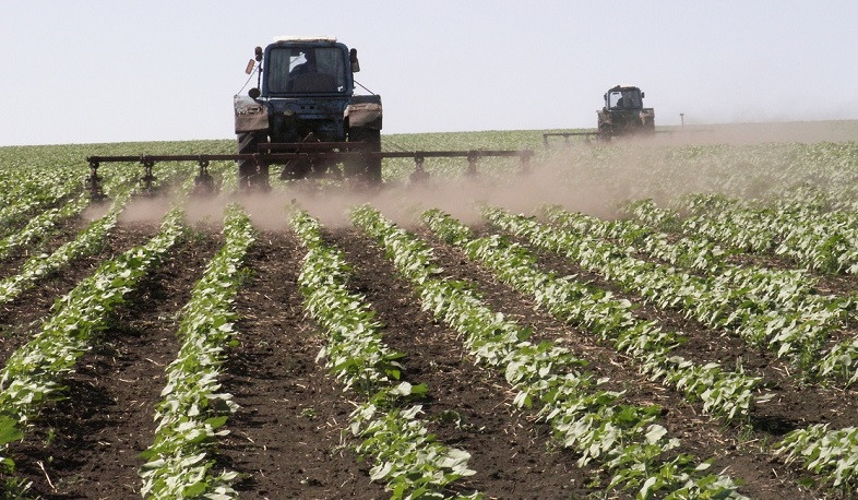 Կառավարությունը փոփոխություն կատարեց ինտենսիվ այգիների հիմնման աջակցության ծրագրում