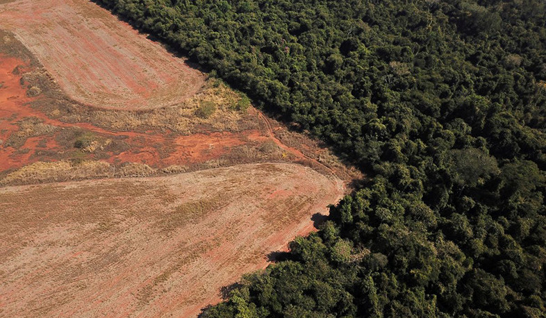 Deforestation in Brazil's Amazon through July hits fresh record
