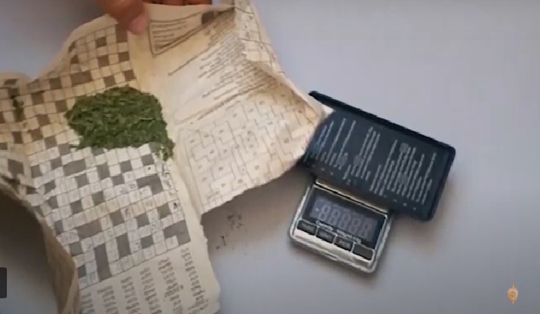 Աշխատավայրում կանեփ էր աճեցրել