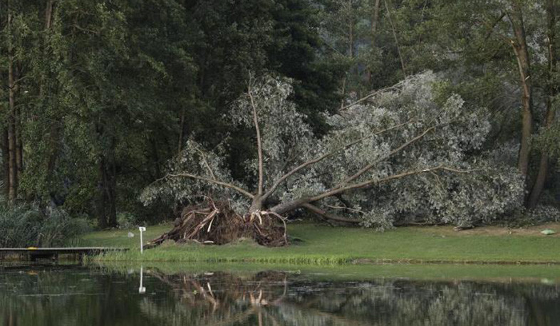 Two children killed by falling tree in Carinthia storm
