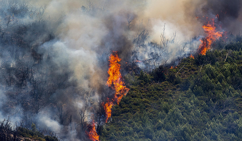 Spanish fire crews tackle forest blaze from air and ground