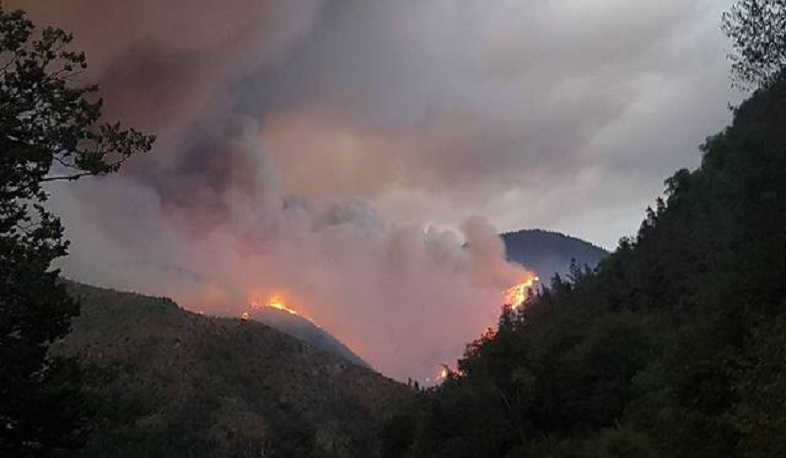 Up to 250 firefighters mobilized to put out forest fire in Borjomi
