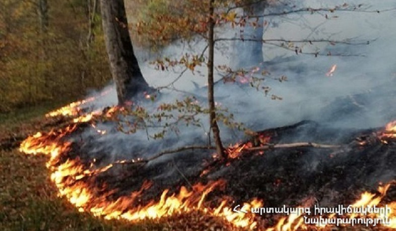 Վերին Շորժա գյուղին հարակից սարում այրվել է մոտ 450 հա խոտածածկույթ