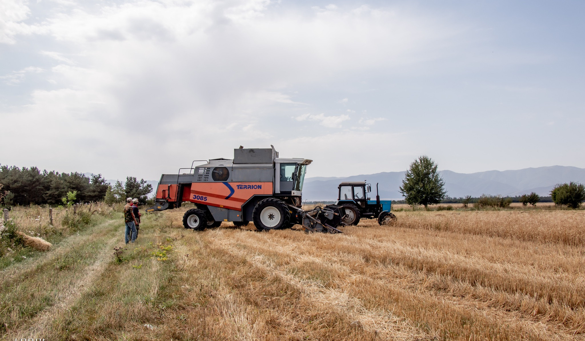 Լոռու մարզում հացահատիկի բերքահավաքը բուռն ընթացքի մեջ է
