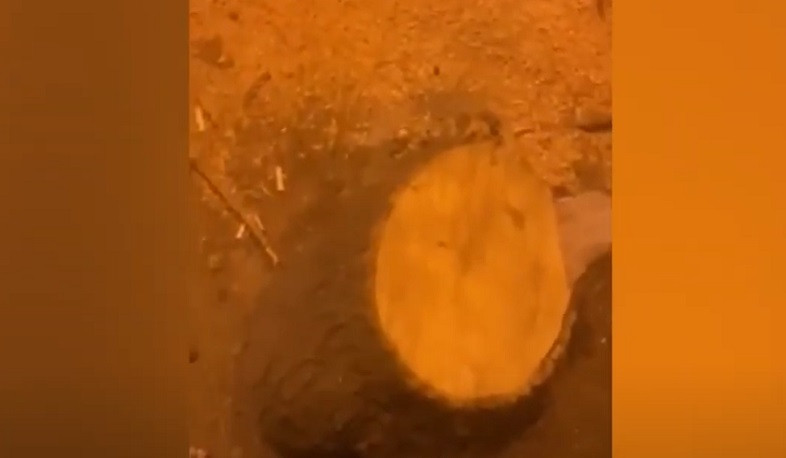 Երևանի Պուշկին-Եկմալյան փողոցների խաչմերուկում ծառ հատած անձինք հայտնաբերվել են